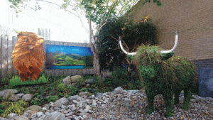 MEDITE TRICOYA Extreme